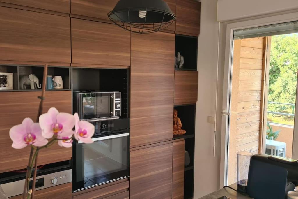Appartement Coin De Paradis, Piscine, Parking, Terrasse Biot