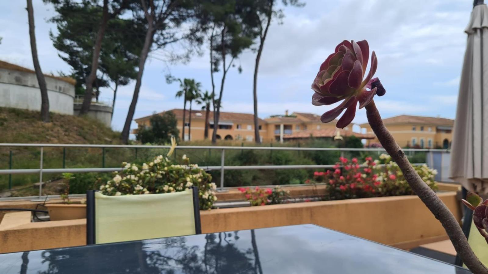 Coin De Paradis, Piscine, Parking, Terrasse Appartement Biot